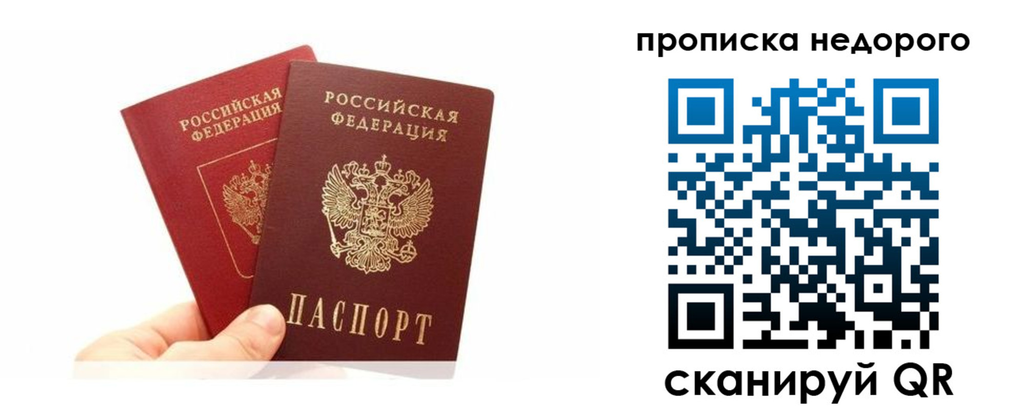 прописка законно в Ясном